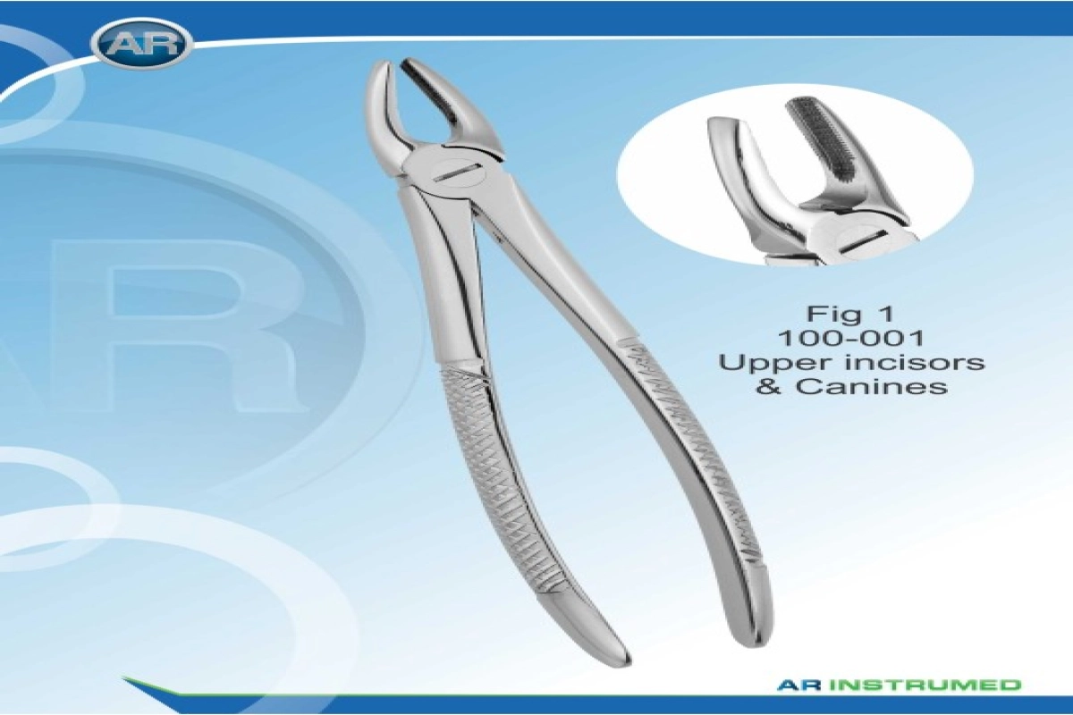 Fig1Upper  incisors@ canines 100-001